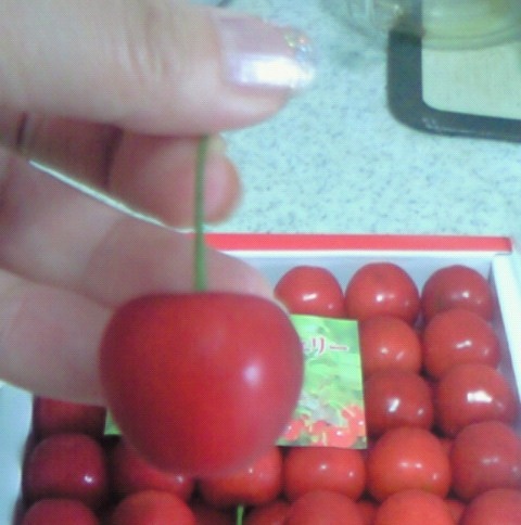 cherry2.jpg